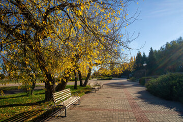 Sunlight streaming through trees with yellow leaves, casting long shadows on a paved walkway lined with benches in Taras Shevchenko National Reserve on an autumn day