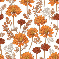 Fototapeta premium sedum flowers in transparent backgroun, orange, brown, white vector
