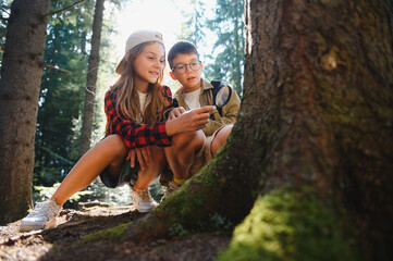 Curious children exploring nature with magnifying glass in forest