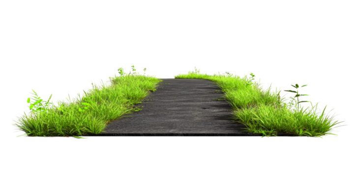 Winding Path Through Vibrant Green Grass Field on White Background, cut out transparent