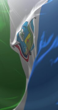 Boqueron department Flag, Paraguay. Loop. 4K Vertical