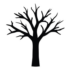 Obraz premium Silhouette of a bare tree with intricate branches against a 