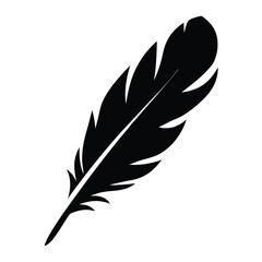 Obraz premium Elegant Black Feather Illustration on a with Artistic Flair
