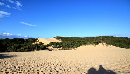 Expansive sandy dunes stretch into a backdrop of lush greenery.
