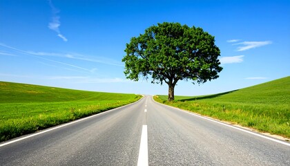 Country road with tree, summer, and landscape.