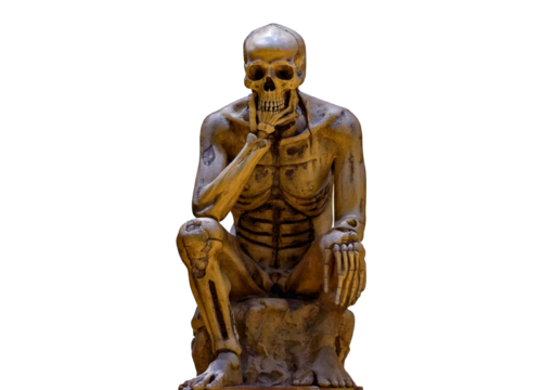 Skull sitting and thinking isolated on a transparent or white background. - Powered by Adobe