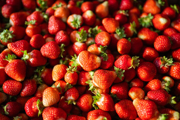 Close-up view featuring an abundance of freshly harvested strawberries, highlighting their vibrant red color and green stems, perfect for food and agriculture themes