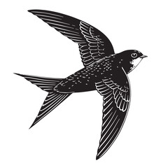 black swift bird Silhouette Vector, High Quality Illustration on White Background