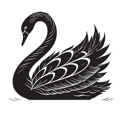 black swan Silhouette Vector, High Quality Illustration on White Background
