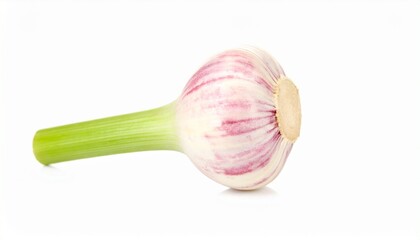 garlic on a white background