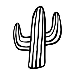 Hand drawn cactus illustration. Doodle cactus icon.