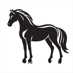Obraz premium Horse Silhouette