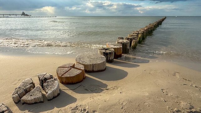 Buhne, eine Reihe von Baumst&auml;mmen,  im Ostseestrand bei Zingst 