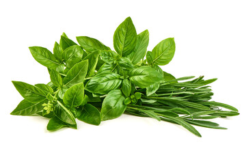 Fresh Basil, Rosemary, isolated on white background