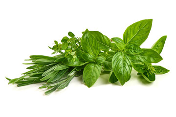 Fresh Basil, Thyme, Rosemary Arrangement, isolated on white background