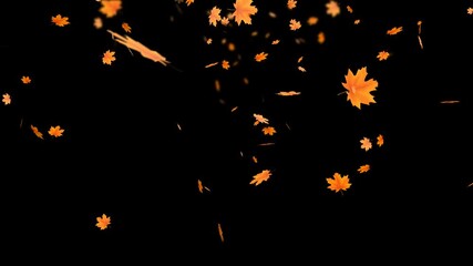 Falling autumn maple leaves animation with transparent background and alpha channel. Seasonal motion effect for video projects, overlays, transitions, festive design and creative visual compositions. - Powered by Adobe