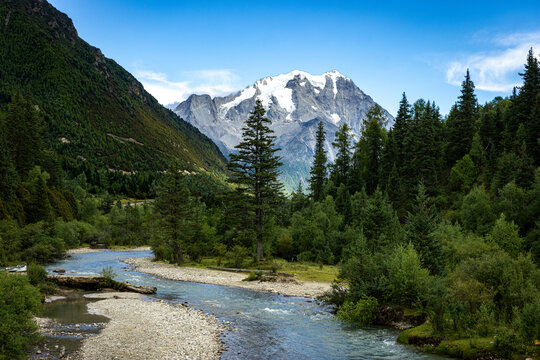 mountain river in the mountains