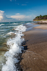 Der Weststrand mit Darßwald auf dem Darß im Sommer