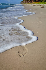 Fu&szlig;spuren im Sand werden von dem Auslaufen einer Welle, am Strand auf dem Dar&szlig;, an der Ostsee erfasst
