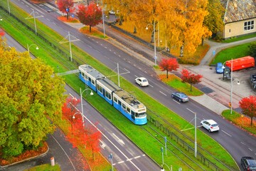 Autumn The City Multicolored Leaves