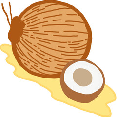 vector illustration of a coconut
