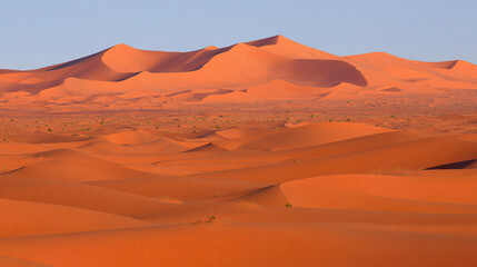 Naklejka premium Golden sand dunes stretch endlessly under the warm glow of the Sahara desert at sunset.