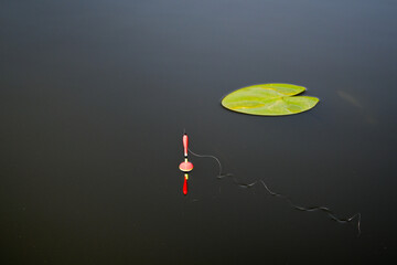 Fishing, float in the water. Waiting for the fish to signal a bite.  © Blaszko