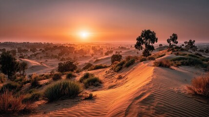 Sunset over a vast, undulating desert landscape, with sparse vegetation and a few trees silhouetted against the fiery sky