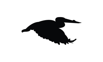 Flying American white pelican bird Silhouette Design  And Vector Illustration. 
