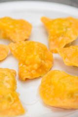 Fried dumplings in a white plate on a gray background vertical photo