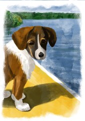 Dog on the pier