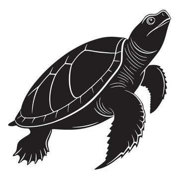 black yangtze giant softshell turtle Silhouette Vector, High Quality Illustration on White Background