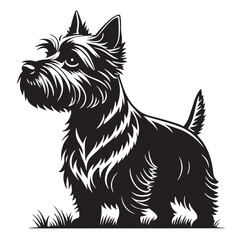 black westie Silhouette Vector, High Quality Illustration on White Background