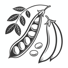 Black and white illustration of pea pods with leaves, , showcasing its natural beauty and nutritional value