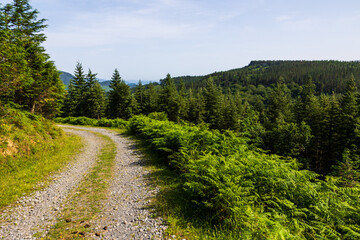 Obraz premium Landscape around Saldropo Marsh in Gorbeia Natural Park