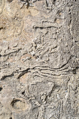 A textured close-up of a rough, sandy wall surface with irregular, carved patterns and lines