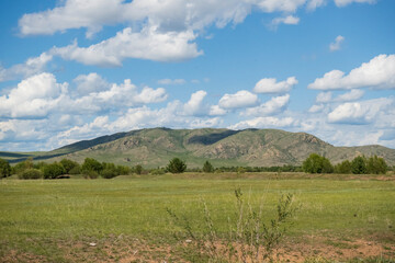 Scenic view of mountain in summer 