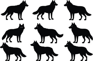 Wolf silhouettes, standing poses, wild animal vector, black shapes, forest predator, wildlife icon, clipart, animal design, graphic set