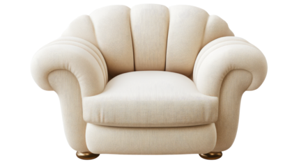 Modern comfortable upholstered armchair furniture isolated on white background