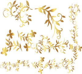 flower, botany, flower pattern loral, leaves, and flower collection vector design illustration