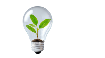 Light bulb with a growing plant symbolizing eco-friendly innovation and sustainability.