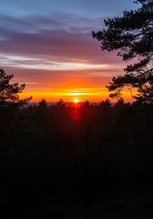 Fototapeta premium Vibrant Sunset Over Silhouetted Trees.