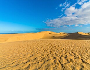 Vast golden sand dunes under a brilliant blue sky