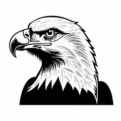 Obraz premium A majestic eagle's head, rendered in striking black and white, showcases intense detail and powerful presence.