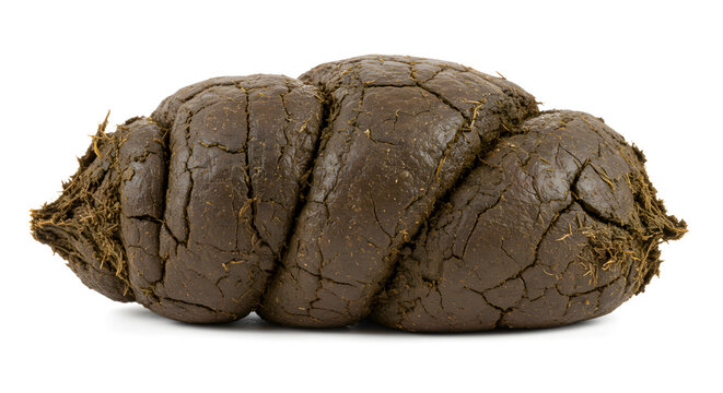 Cow dung isolated on white background &ndash; natural fertilizer concept