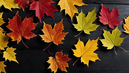 Vibrant autumn maple leaves arranged on a dark wooden background, showcasing fall colors and textures. Ideal for seasonal designs, blogs, and websites.