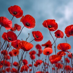 Obraz premium Crowds of red poppies swaying gently in the wind against a blue sky background on VE Day #VEDay , remembrance, flowers.