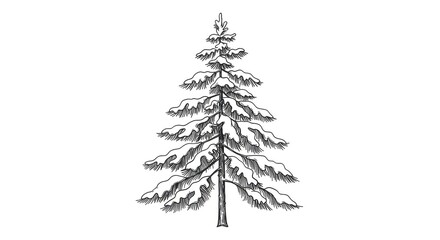 Captivating hand-drawn sketch of a snow-laden pine tree, evoking winter's serene beauty and natural charm for seasonal designs.