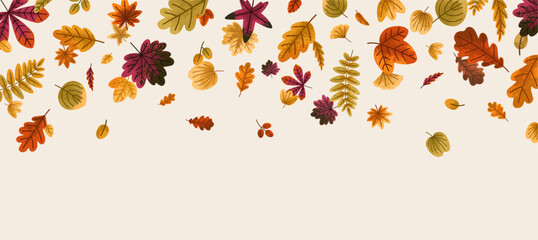 Fall leaves decoration, horizontal banner. Autumn leaf falling down, seasonal nature background. Autumnal decorative pattern, decor, ornamental botanical forest border. Flat vector illustration