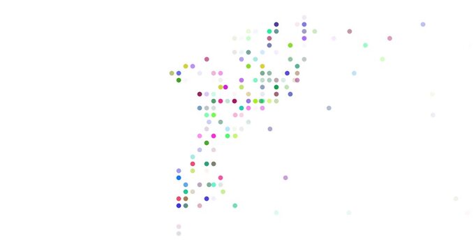 Colorful Pattern Forming Mozambique Silhouette
